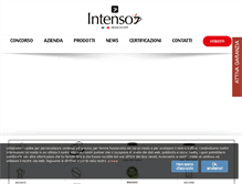 Tablet Screenshot of intenso.biz